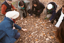 Load image into Gallery viewer, CHC30113 - Certificate III Early Childhood Education and Care, OLA, World of Education, childcare, abbotsford convent, online course melbourne
